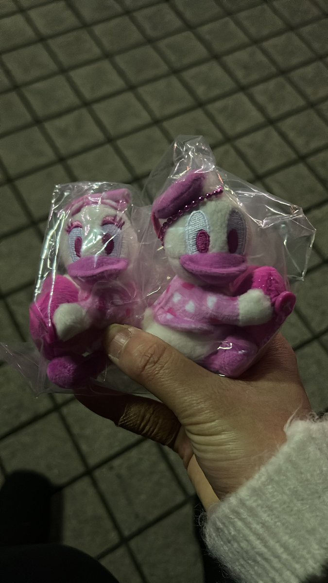 dn_nke's tweet photo. 【交換】
ディズニーランド 
ディズニー ミニパル ミニファン 
ミニぬいぐるみチャーム

【譲】 デイジー、ドナルド

【求】ミッキー https://t.co/crYlbkAgjx
