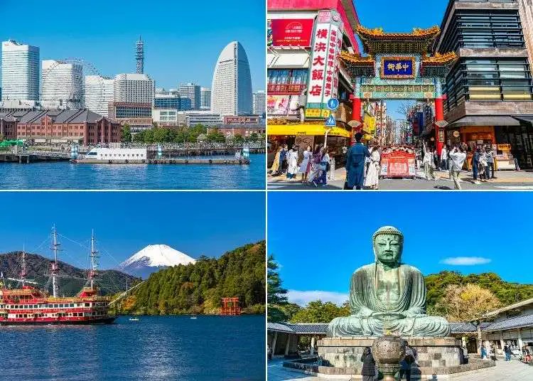 Doolally tweet media