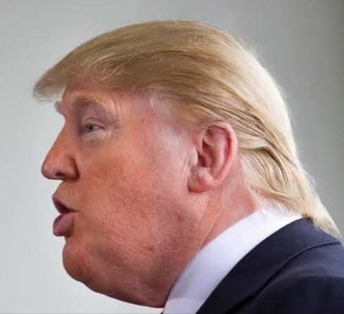 VFinnishProbs's tweet image. This is, reportedly, Trump’s most hated photo. Be a shame if it got shared.