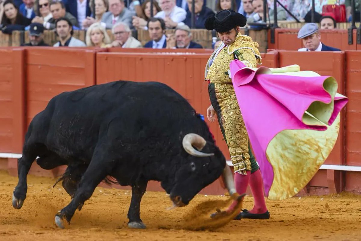 Hoy todo vuelve a cobrar algo de sentido, hoy vuelven a aflorar los sueños, hoy el mundo es un poco mejor... vuelve el último Genio contemporáneo.

DON JOSE ANTONIO MORANTE CAMACHO.