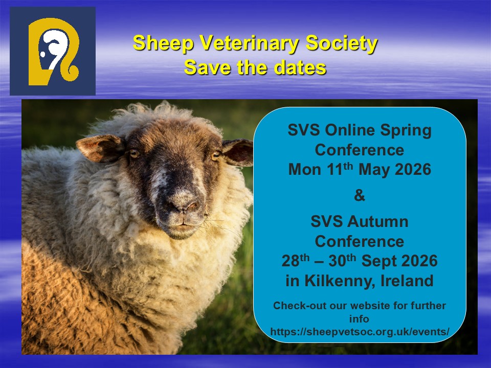 Sheep Veterinary Soc tweet media