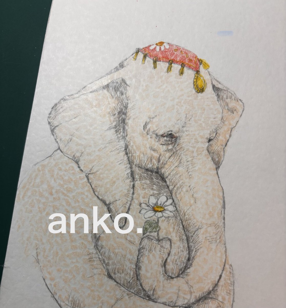 おやすみなさい〜🌙🐘✨ #象 #1日1絵 #色鉛筆画