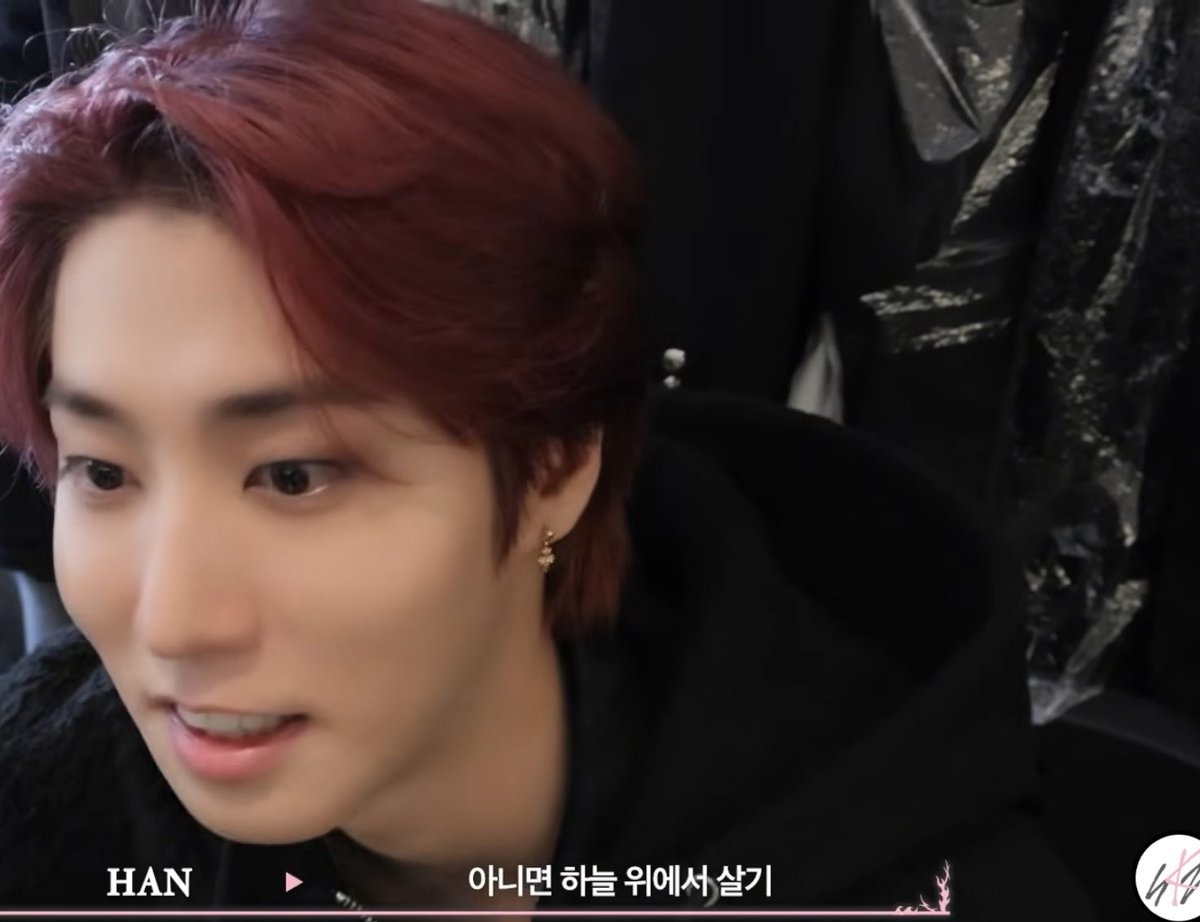 monggu91's tweet image. 스테이들 다 골디보고 어잘생겻다ㅜ멋있어
하는동안 쥐가 한 생각

: 하늘위에서 살아보고 싶다,,