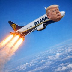 Lex 📍 tweet media