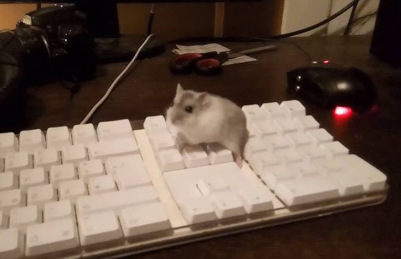 momintsxx's tweet image. I see no difference…