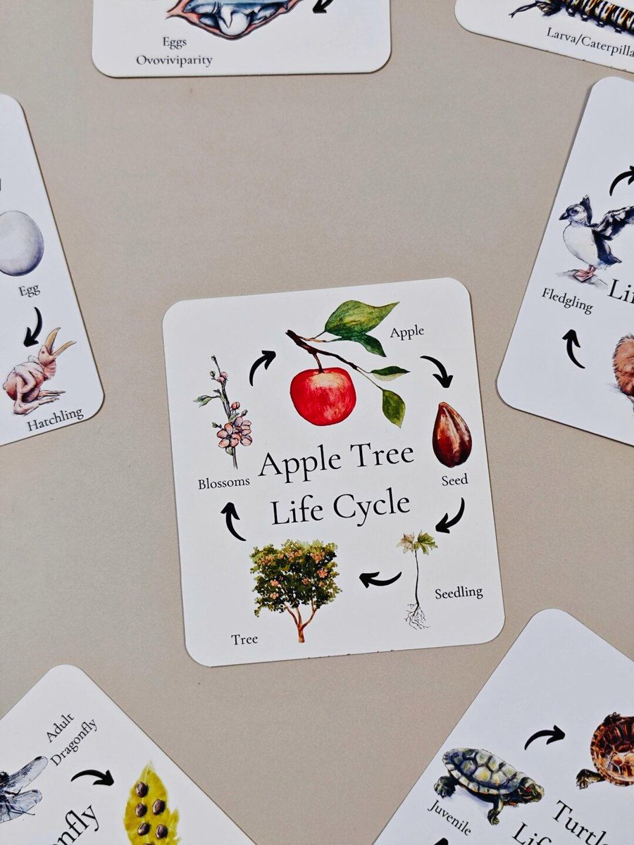 坂田裕樹 (@fwMMiQYref46866) / Posts / X