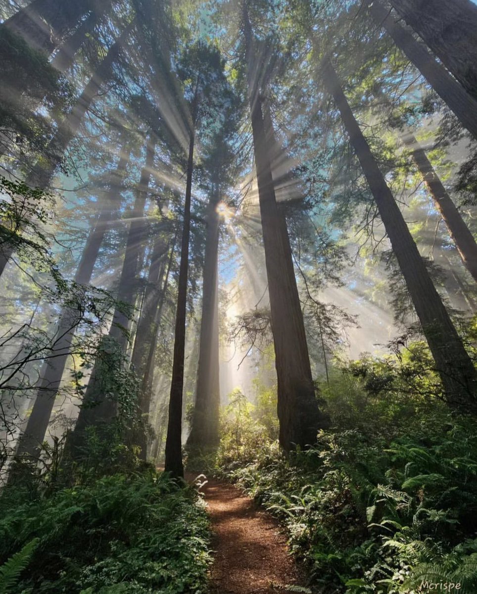 earthcurated's tweet image. Life is too short to be unhappy ✨