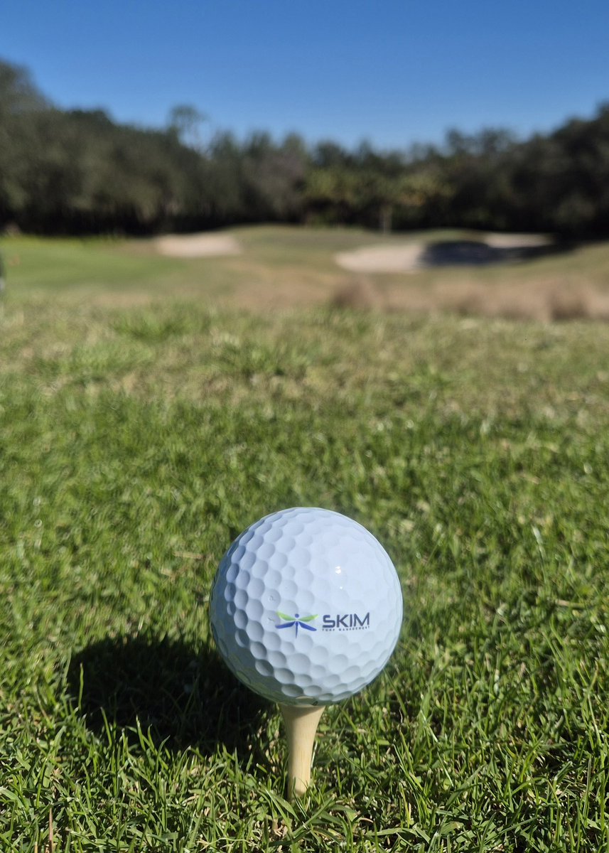 SkimTurf™ Management tweet media