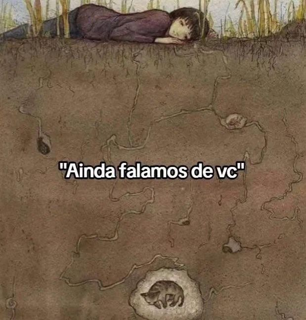 perfil dedicado a gatinhos e peitos (@odeiootaco) on Twitter photo 