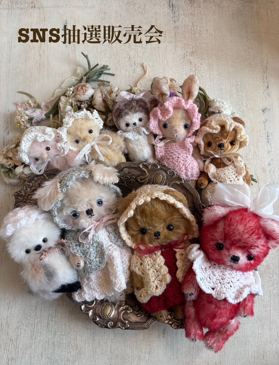 ❄️SNS抽選販売会❄️
今から応募受付ます。
詳細はInstagramをご覧下さい。

●応募期間
1月24日（土）23時まで
●作品数9点

instagram.com/p/DTw9avZgQGh/…