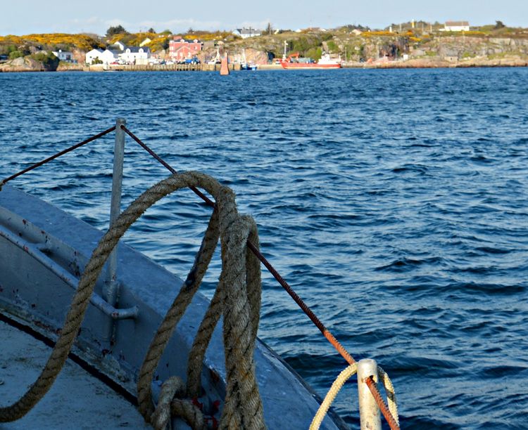 WeLoveDonegal tweet media