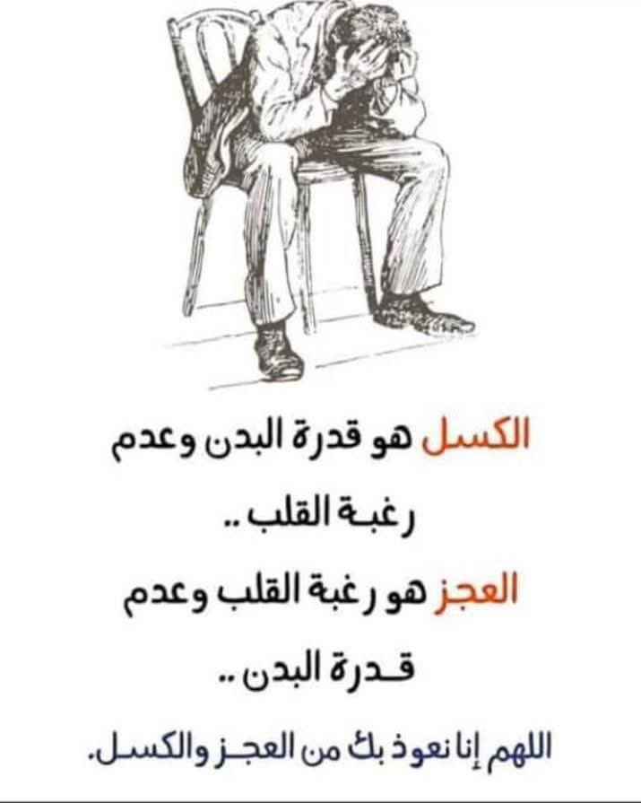 #هدايا_البدر  #ثقف_نفسك  5️⃣