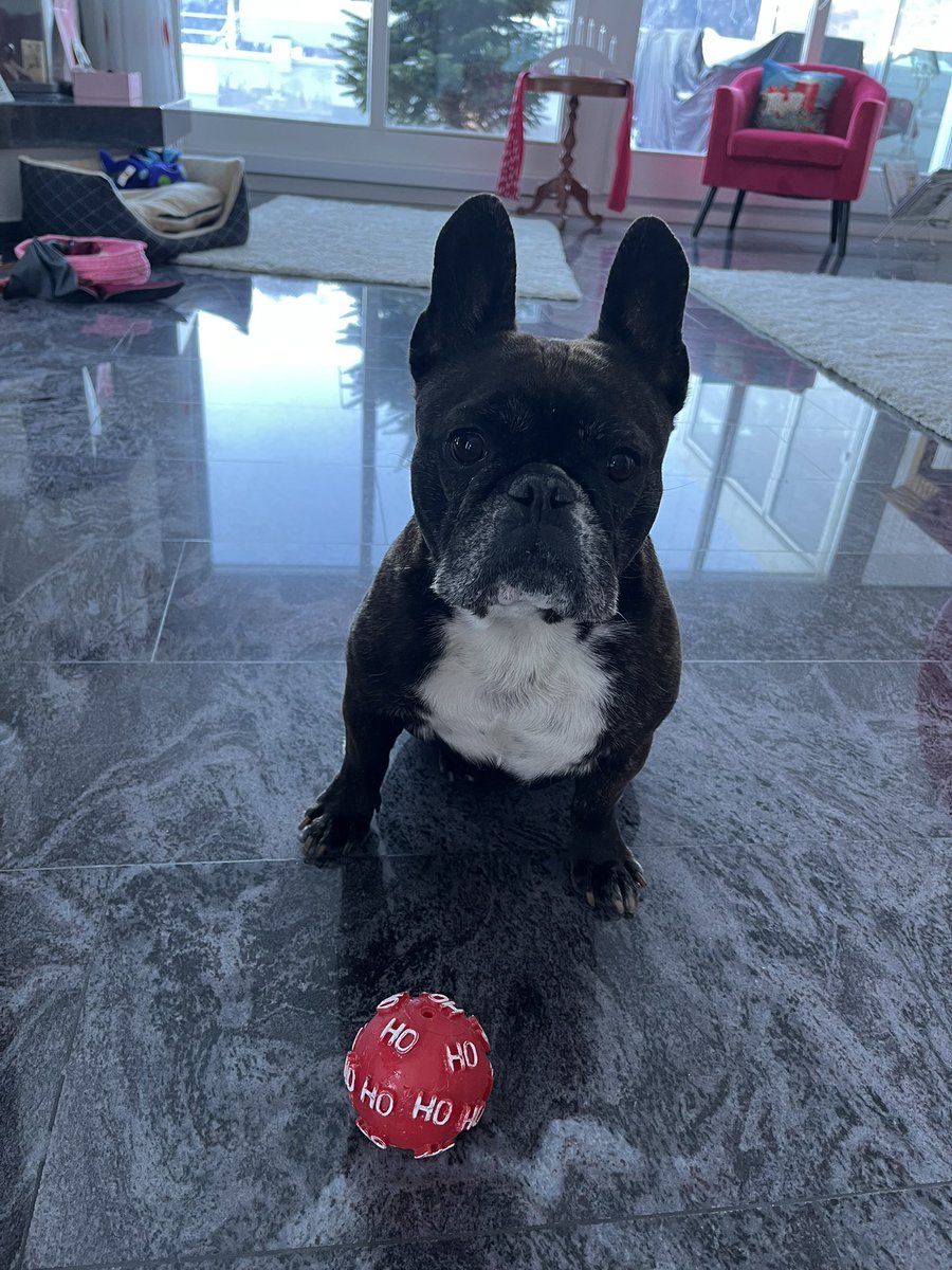 Guten Morgen liebe Pfreunde 

Endlich scheint heute wieder die Sonne und die Nebelgeister sind pverscheunden.
Da seh ich wenigstens wieder was beim Gassi gehen!

Habt den Tag pfein😘