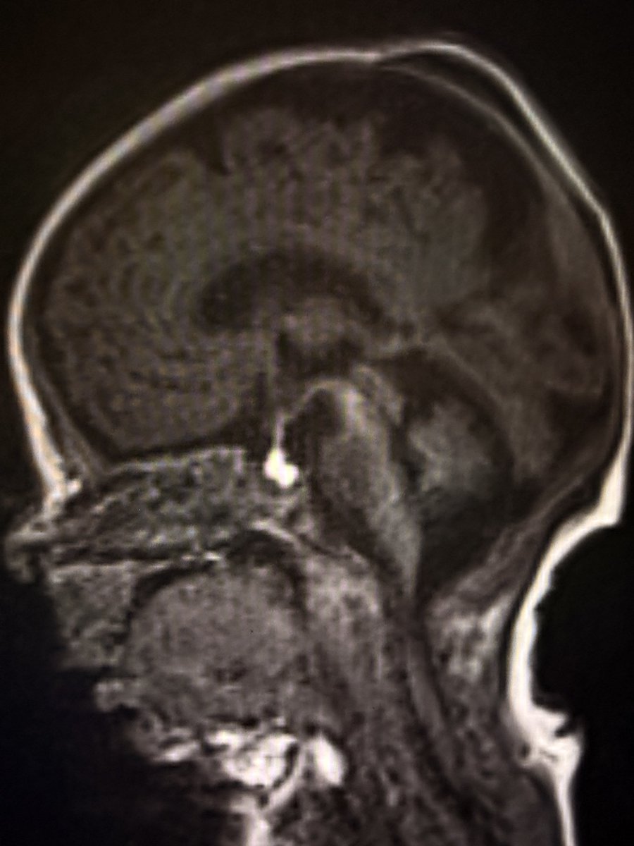 Sameer Raniga tweet media