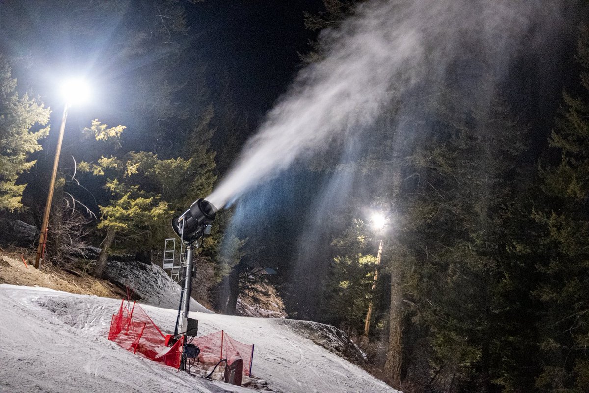 perkunas_real's tweet image. 