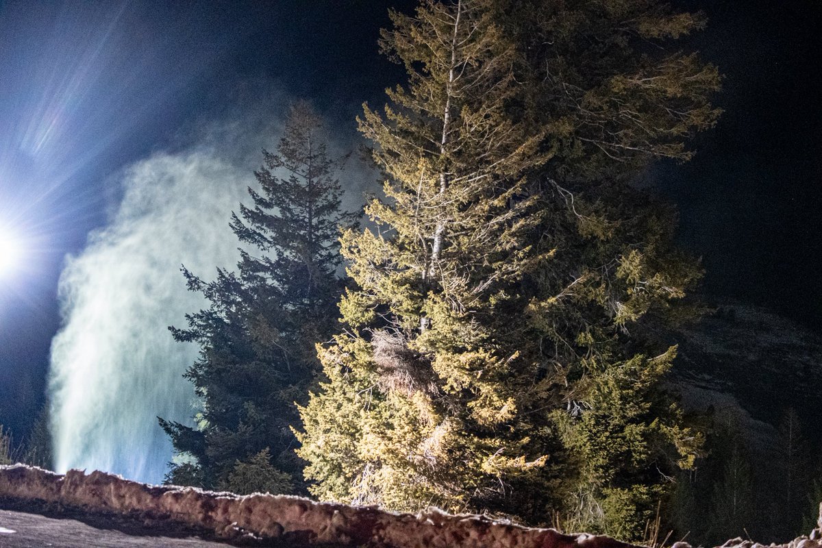 perkunas_real's tweet image. 