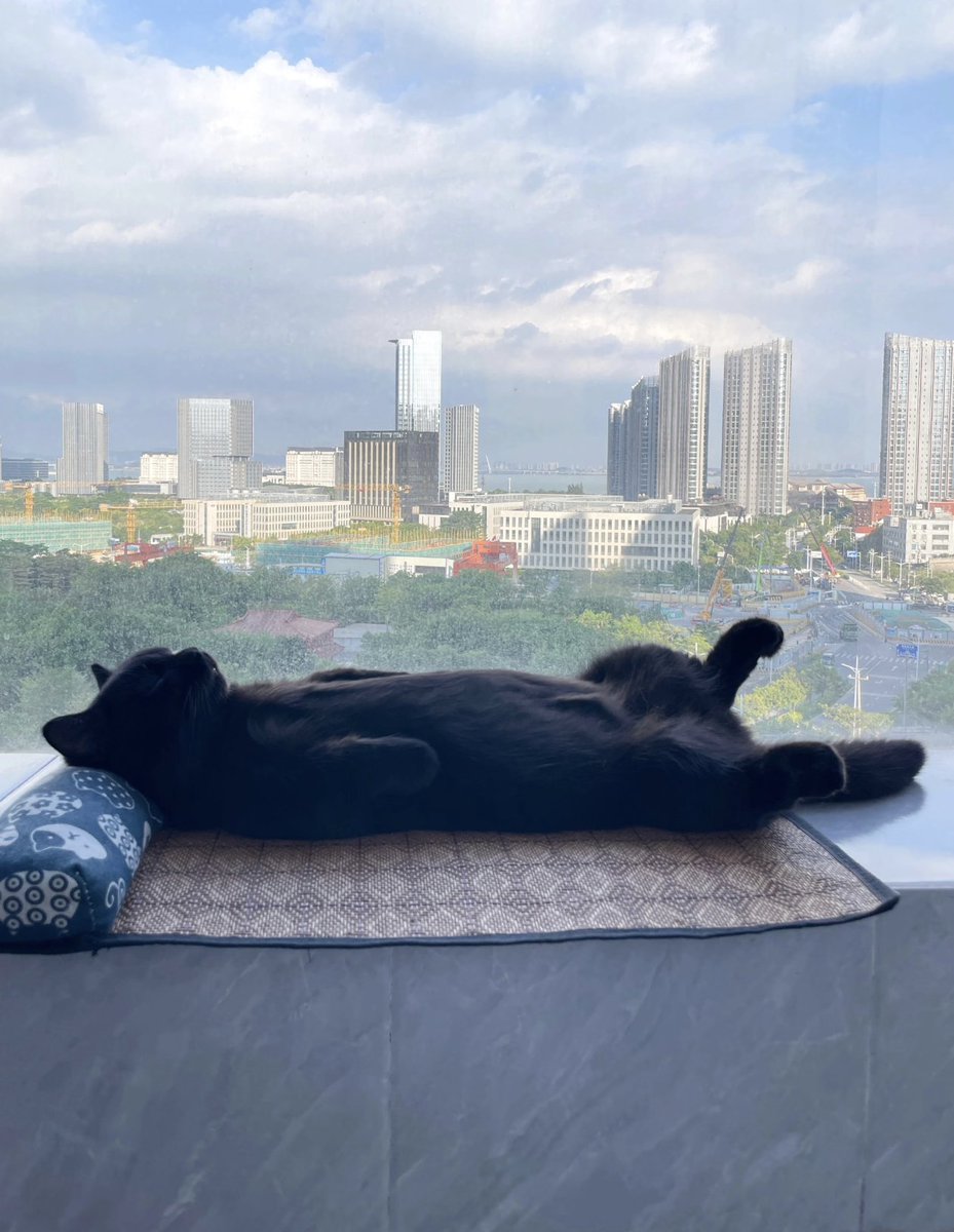 Easy and comfortable