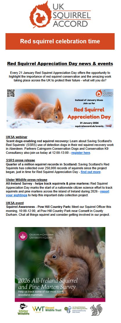 UK Squirrel Accord tweet media