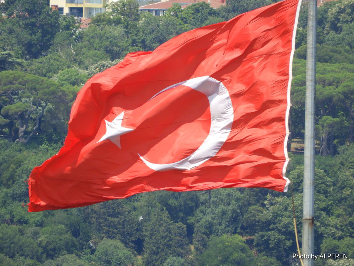 Doğan Alperen tweet media