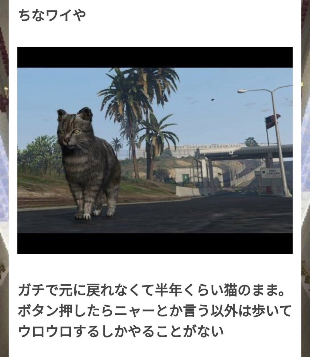 QFWeSzdjrt94465's tweet image. GTAオンラインのチート被害ほんま草