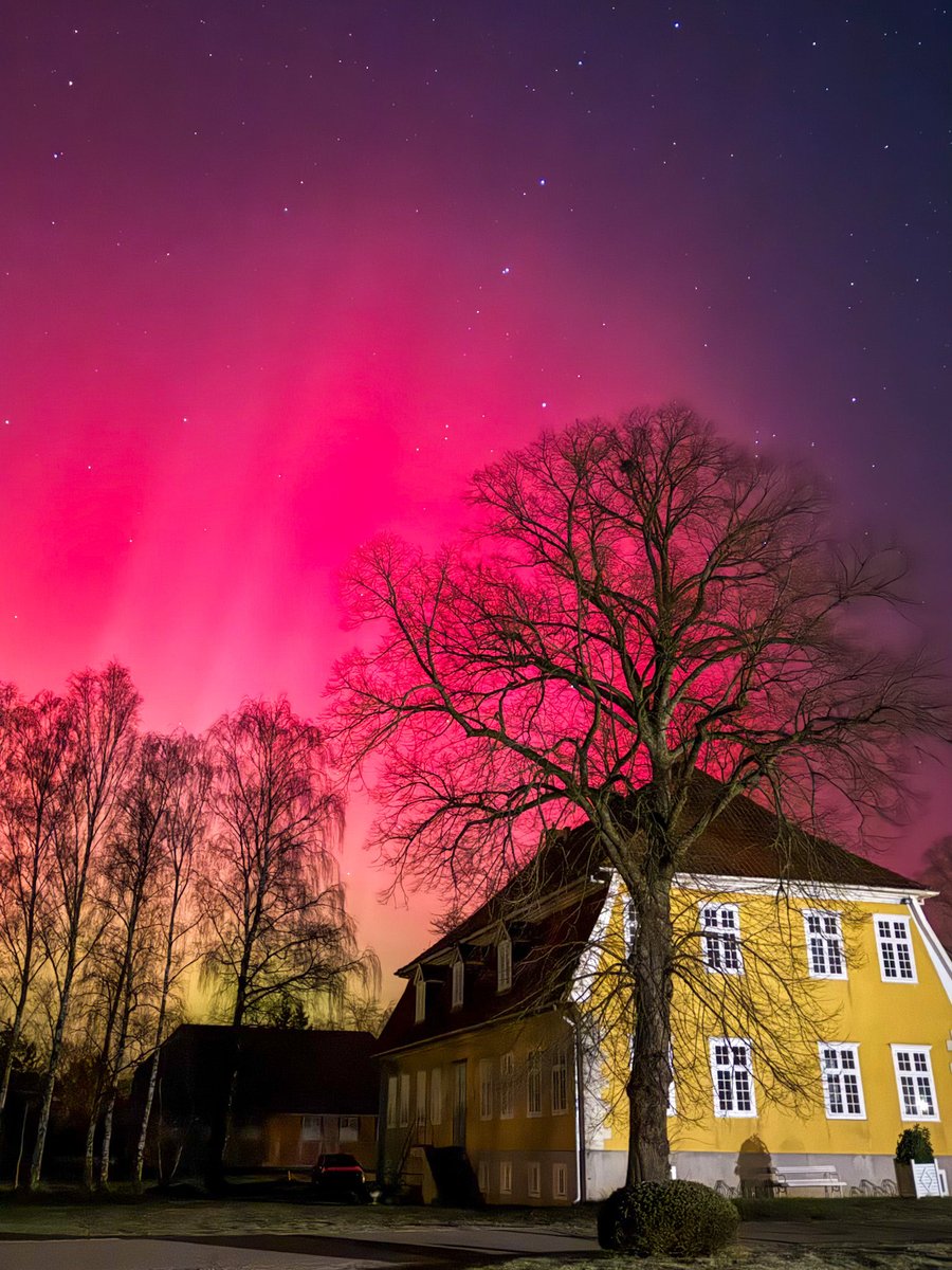 ドイツ発🇩🇪街歩きガイドKeiko tweet media