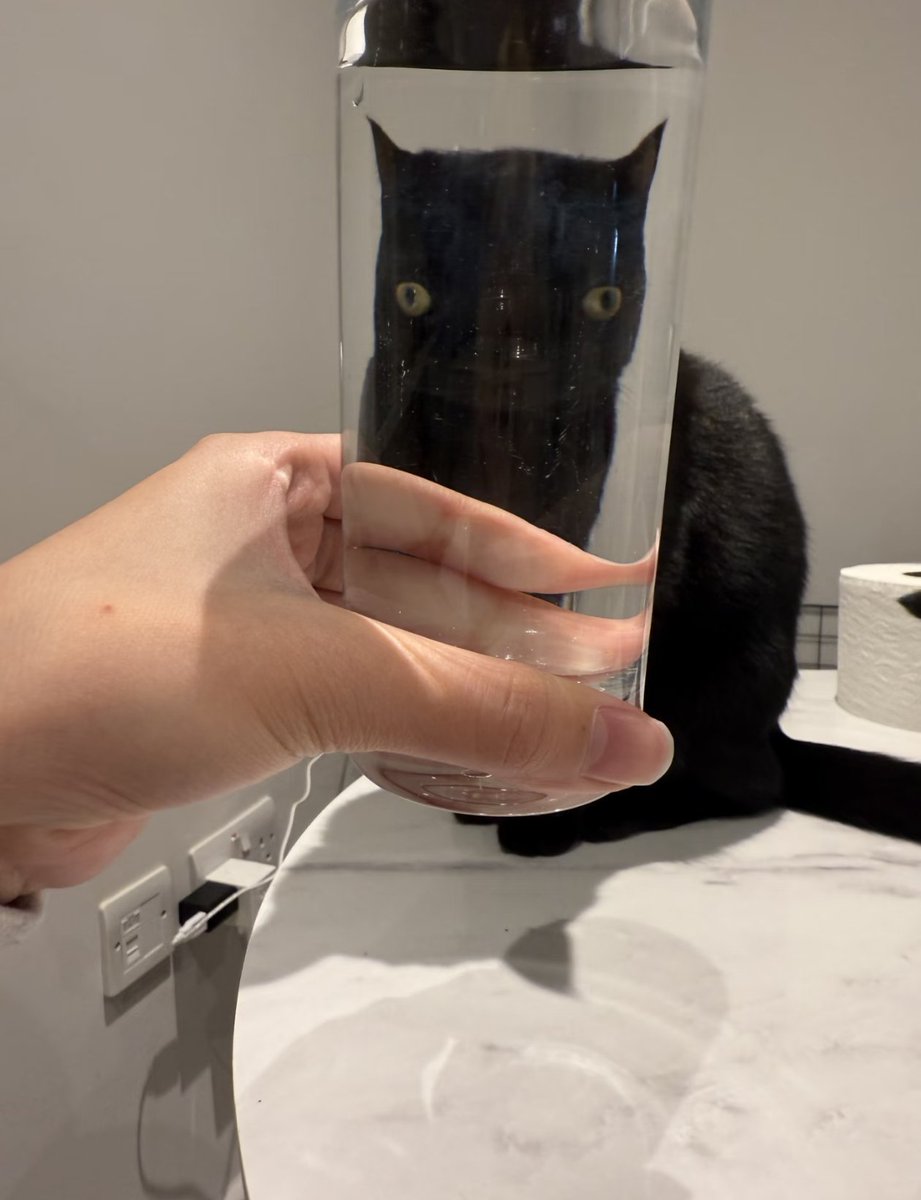 Kathleen tweet media