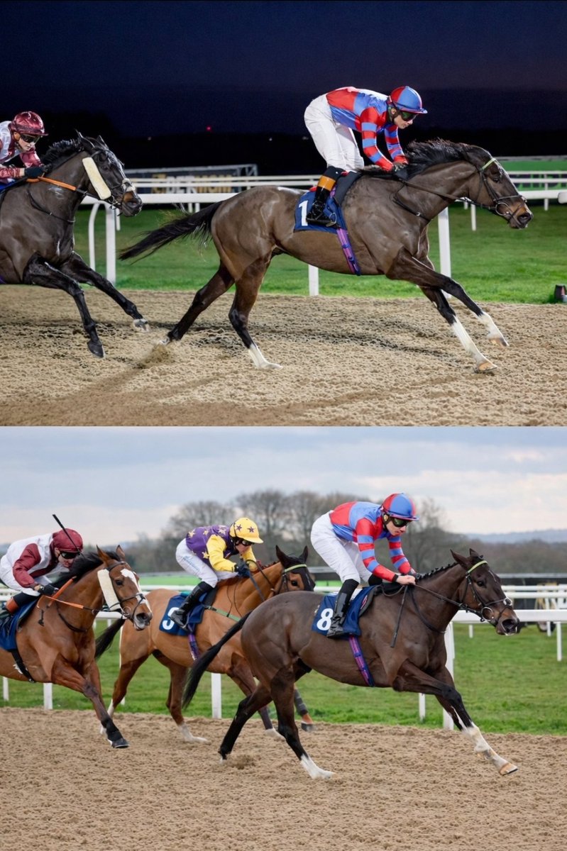 markw_1986's tweet photo. @paul_mcgonnell @AtTheRaces @McsweeneyOisin @adrian_keatley As good of bit of placing as you could see! Our boys are sick of looking at the back end of him. 😆 https://t.co/bNBfUQjLlQ