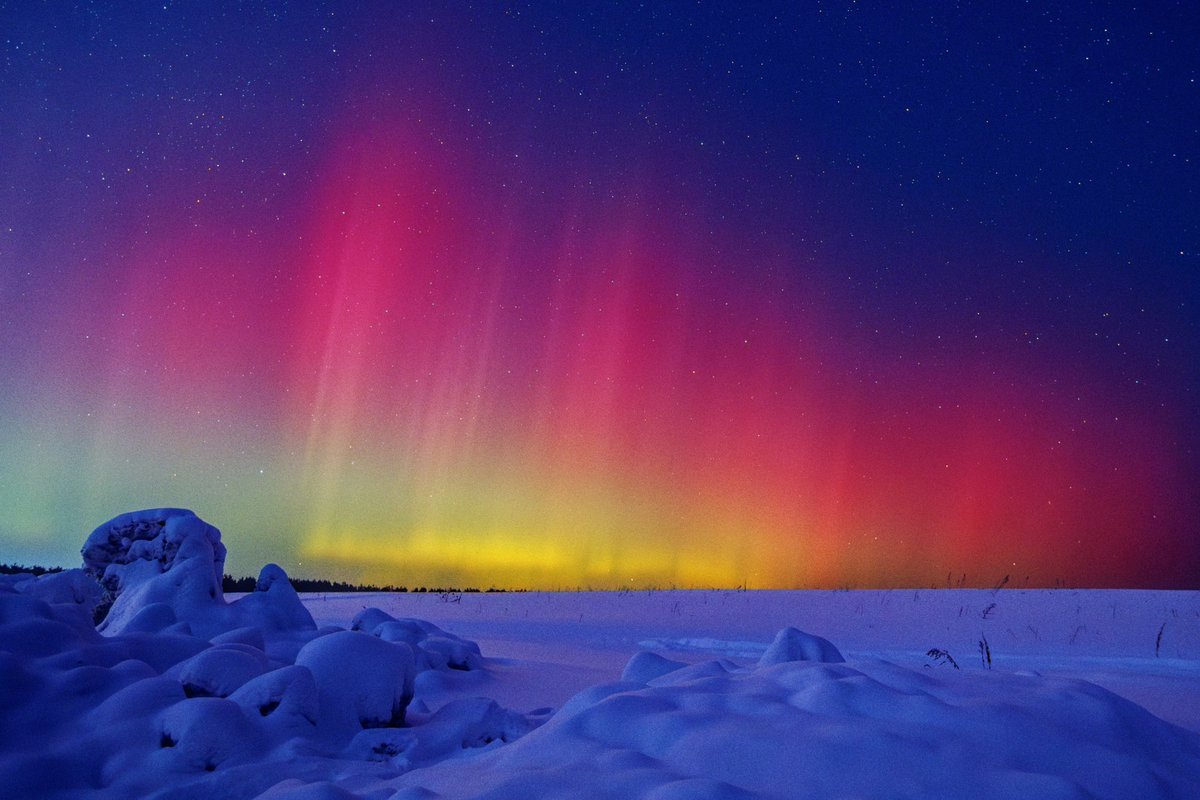 psyfactor.eth tweet media