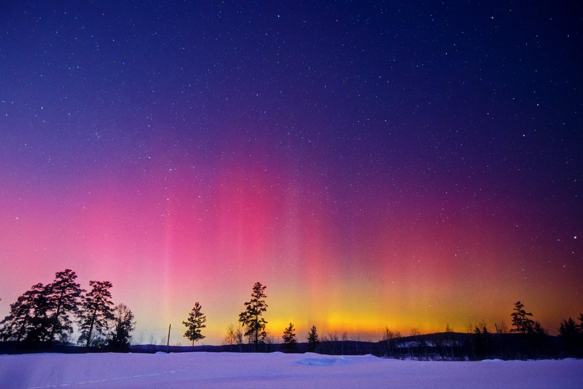 psyfactor.eth tweet media