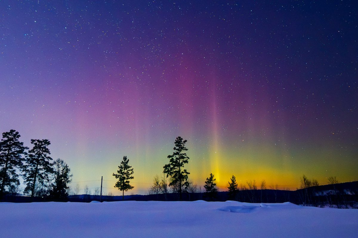 psyfactor.eth tweet media