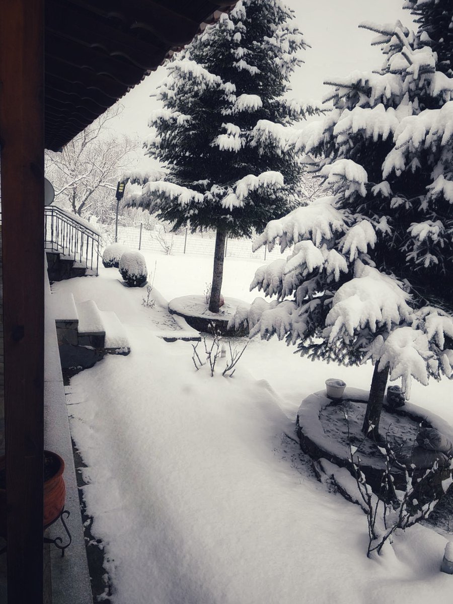 OreinoKafeneio's tweet photo. Ξυπνάς, κοιτάζεις έξω, ανάβεις την σόμπα κ κάπως έτσι σταματάει ο χρόνος https://t.co/EEqwNS8DZH