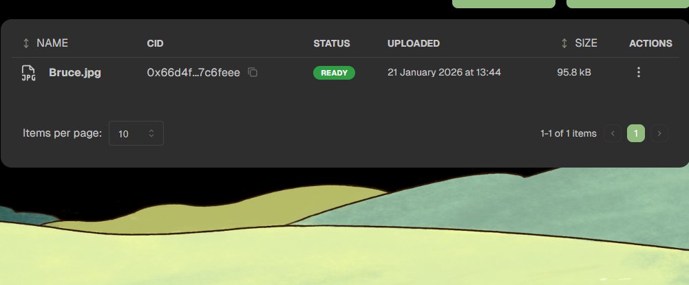 Just uploaded my first file "Bruce" on <a href="/DataHaven_xyz/">DataHaven 🫎</a> testnet .  It is a great experience and the whole process is smooth.  I can even share the link with friends for download.  Alternative to Google Drive is already rocking in crypto world.