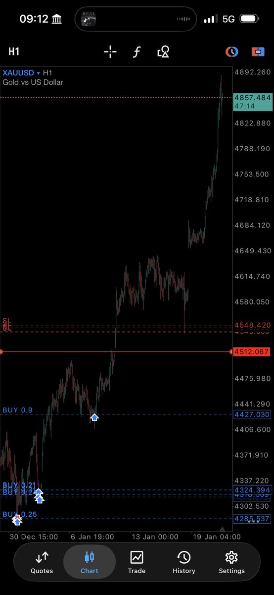 P.N.M🦉 tweet media