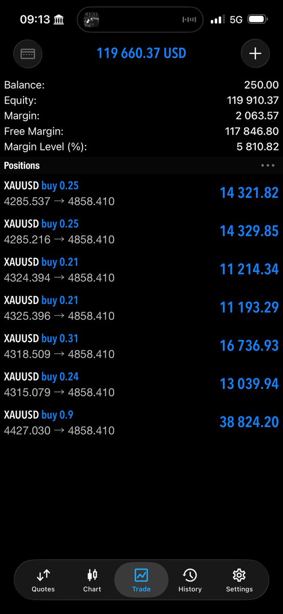 P.N.M🦉 tweet media