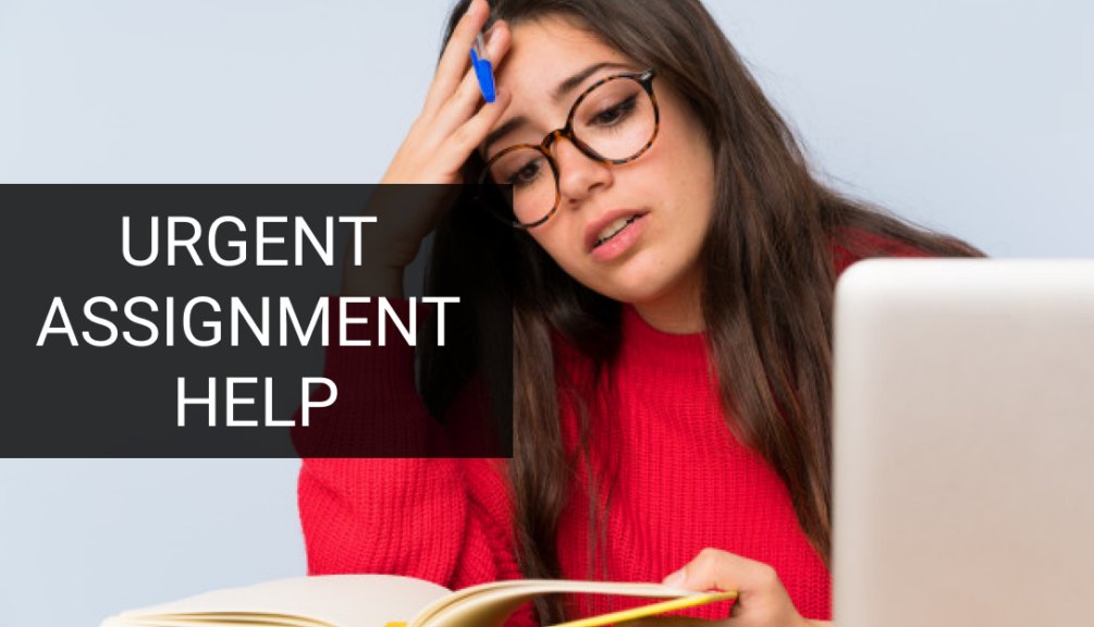 _Premium_Tutors's tweet image. Do not be stressed about your unfinished Homework HMU. 
#Essays
#ResearchPaper
#assignments
 #APA #MLA #Harvard #ASA #Chicago 
#Canvas #Blackboard #cengage #D2L #McGrawHill #PearsonMyLab
🔹▪️Free Turnitin AI Report 
🔹▪️Quality papers
🔹▪️Affordable charges
🔹▪️Confidential