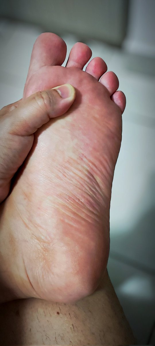 EliasFinMaster's tweet photo. Just a free sample. Follow me ☝🏻 

 #findom #malefindom #feetworshi̇p #feetfetısh https://t.co/3q50d7fFUo