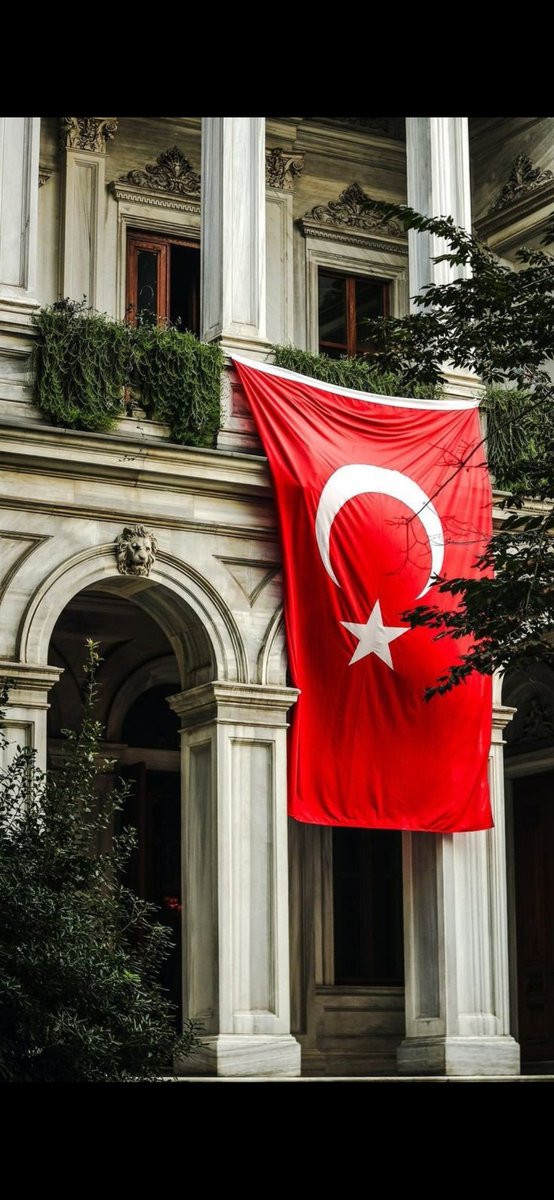 CelbisDuran's tweet photo. Övünmek gibi olsun,
dünyanın en güzel bayrağına sahibiz.
#TürkBayrağı 🇹🇷
#AlBayrak 🇹🇷
#NeMutluTürkümDiyene https://t.co/o8Tr1cfv7i