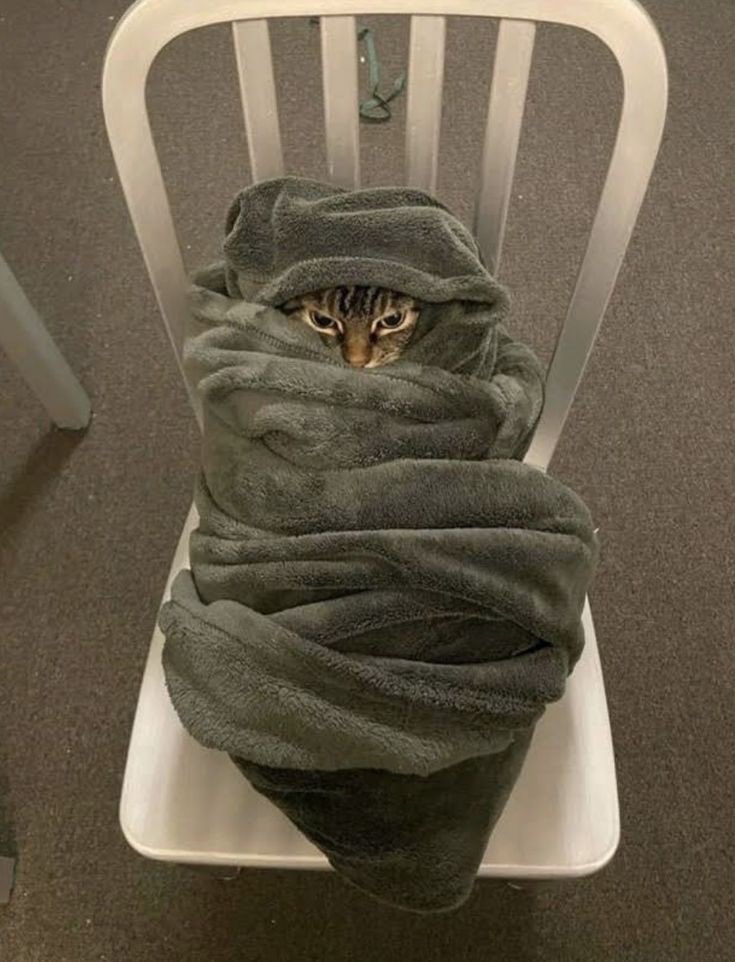 1ovelikewar's tweet image. 