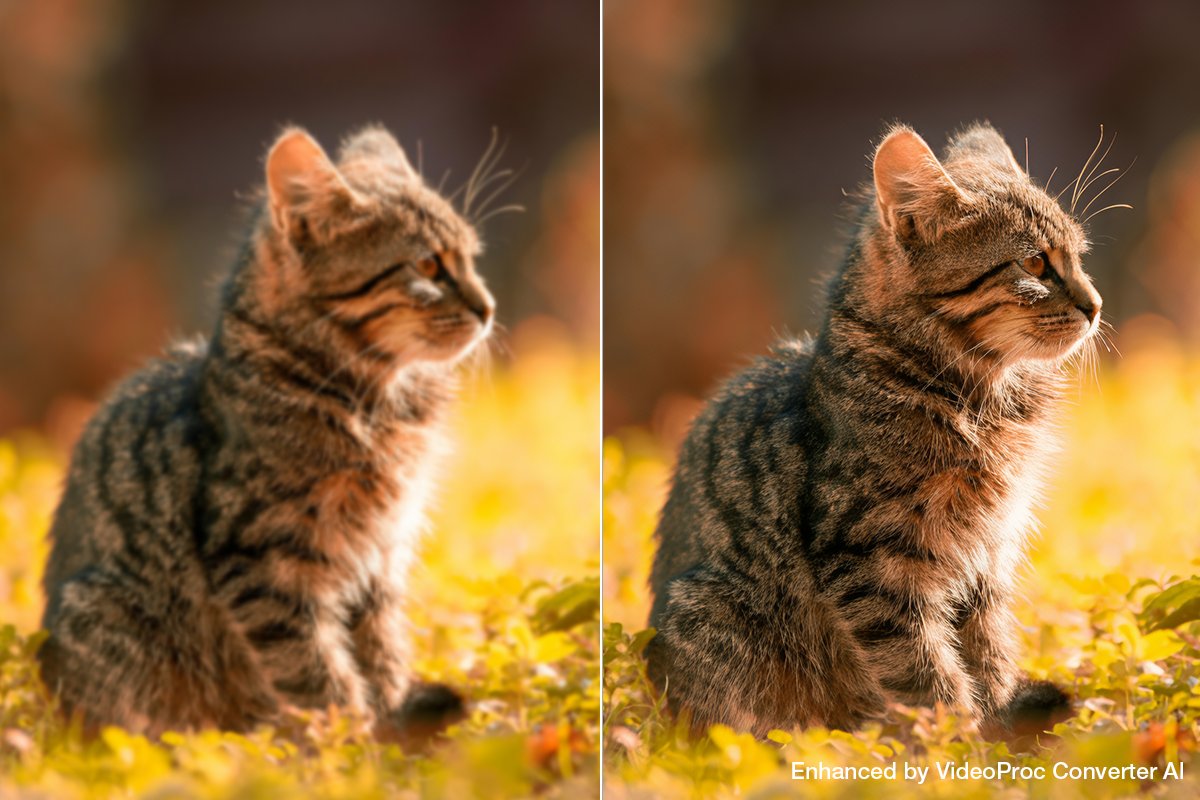 VideoProc AI tweet media