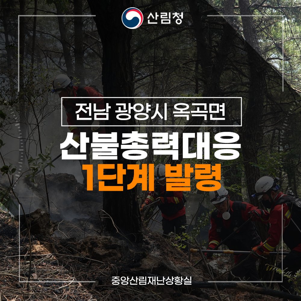 산림청 X(구 트위터) 게시 이미지