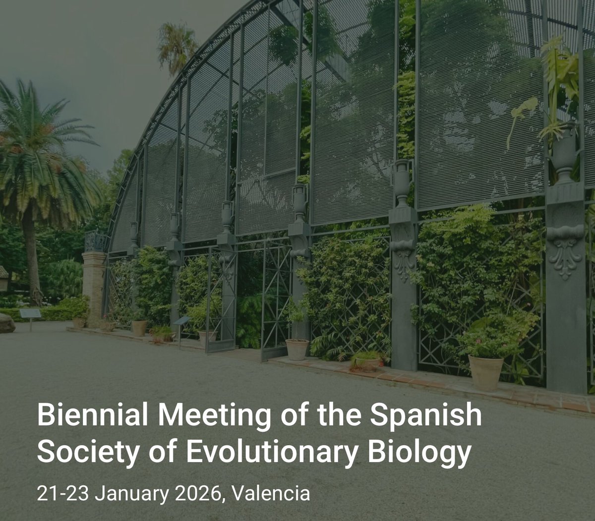 Sombradoble tweet media