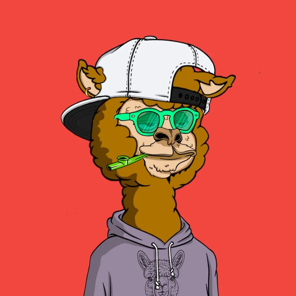 Bored Alpaka Base tweet media