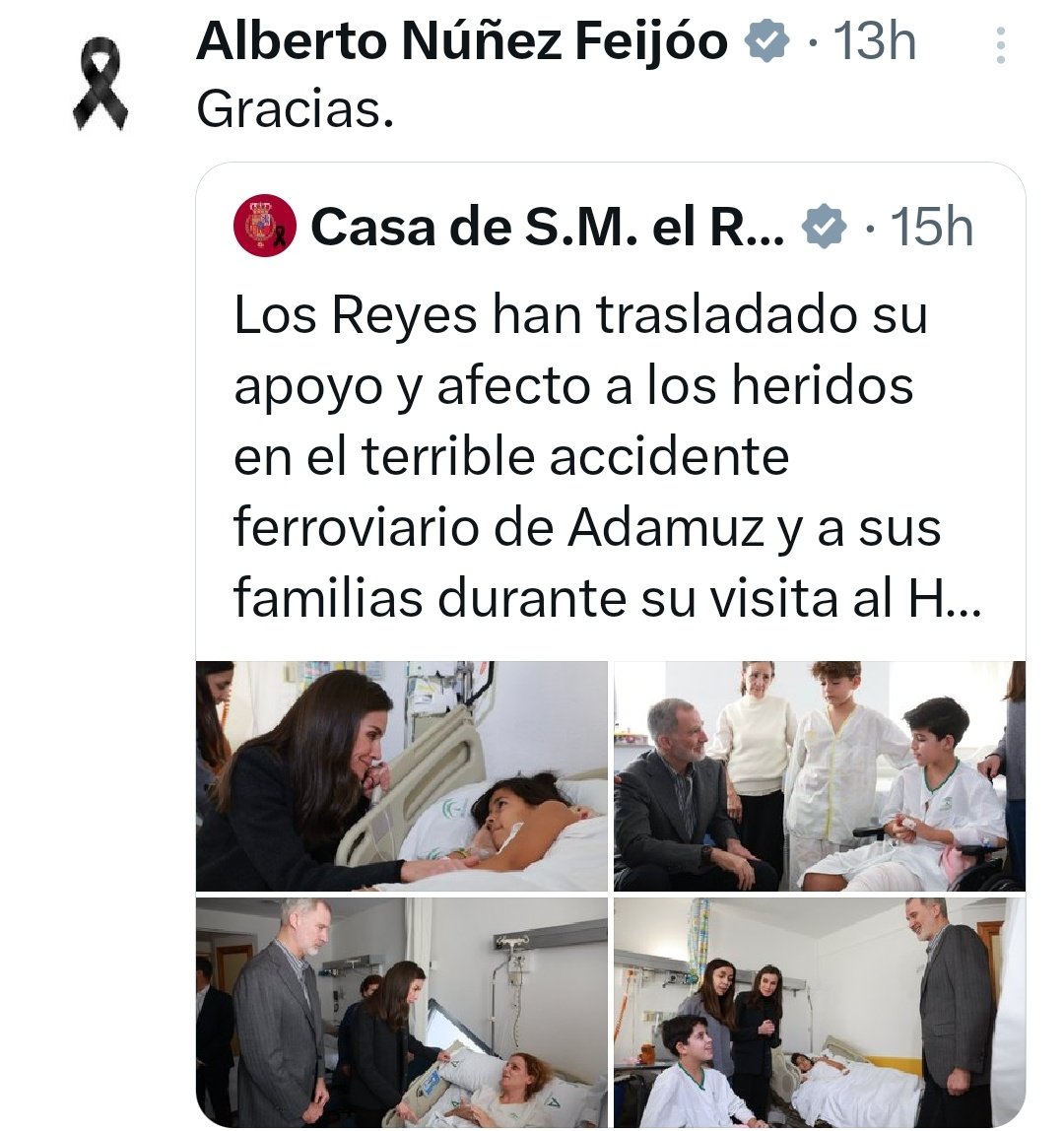 Rodri_GO_33_'s tweet image. La oPPosición está muy ocupada dando las gracias a la CRR (@CasaReal Republicana).
