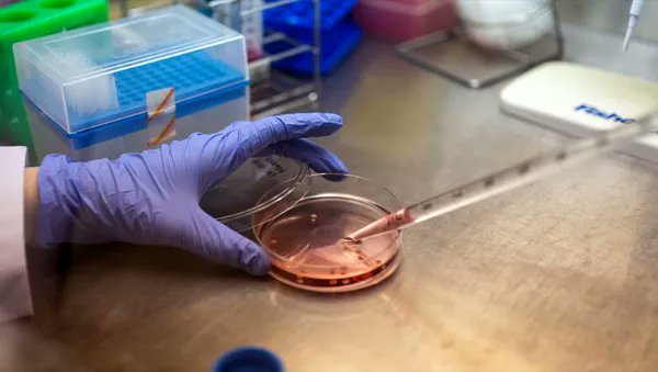 『A collaboration between neuroscience and design』by DLX Design Lab | 東京大学
脳科学を題材にした、科学者とデザイナーのコラボレーションプロジェクト
ーSEE IT AT #TOKYOPROTOTYPE