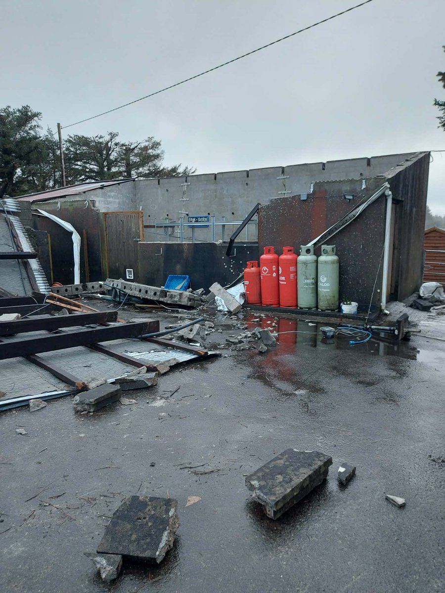 The Shed tweet media