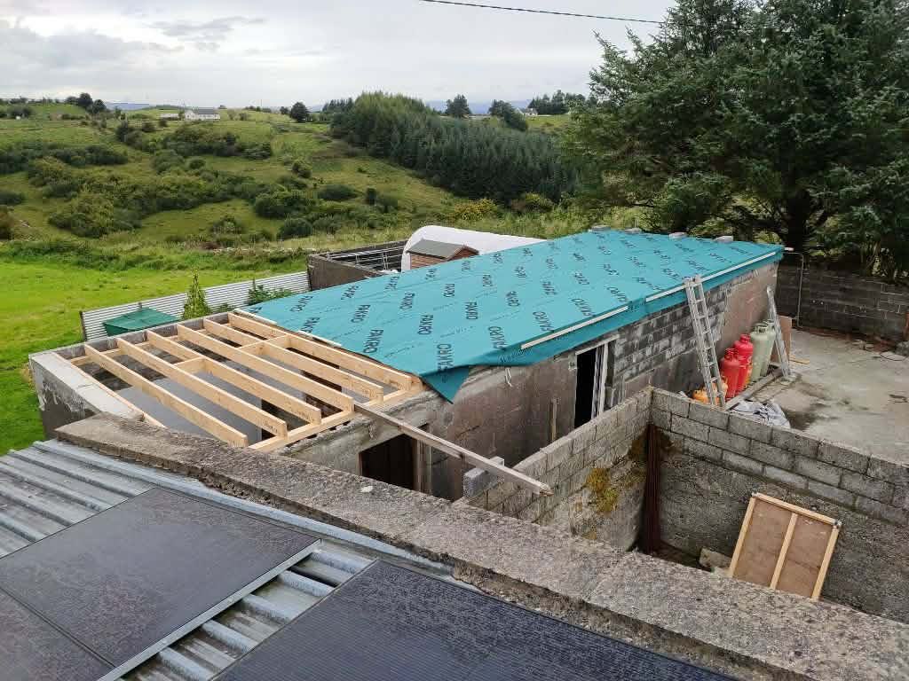 The Shed tweet media