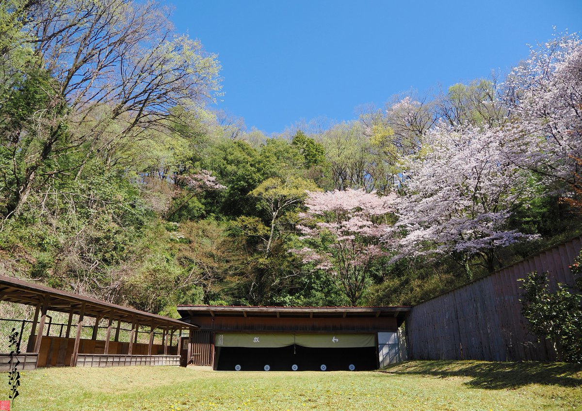 KyudoPhoto's tweet photo. 【ご報告】「弓道写真の和紙印刷」が登録実用新案 第3253934号として登録されました。制作の工夫が形になり、作品の“らしさ”が少し増えた気がしています。

これを機に新作を販売します。初のカラー作品、春夏秋冬の風景シリーズです。よろしければぜひSHOPへ。
https://t.co/CtelKiySn3 https://t.co/D0oO95W2kz