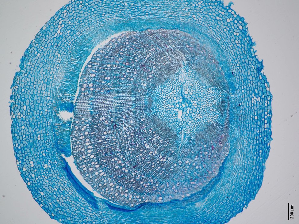 Go Belowground! tweet media