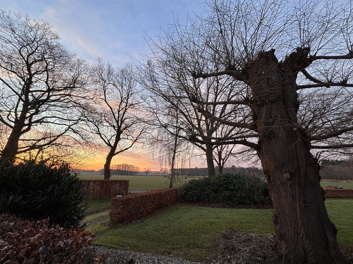 Bert Kleine Schaars tweet media