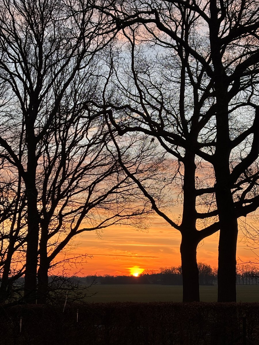 Bert Kleine Schaars tweet media